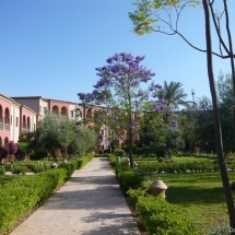 club el dorador a la palmerai au maroc