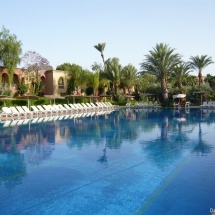 piscine de la palmeraie maroc